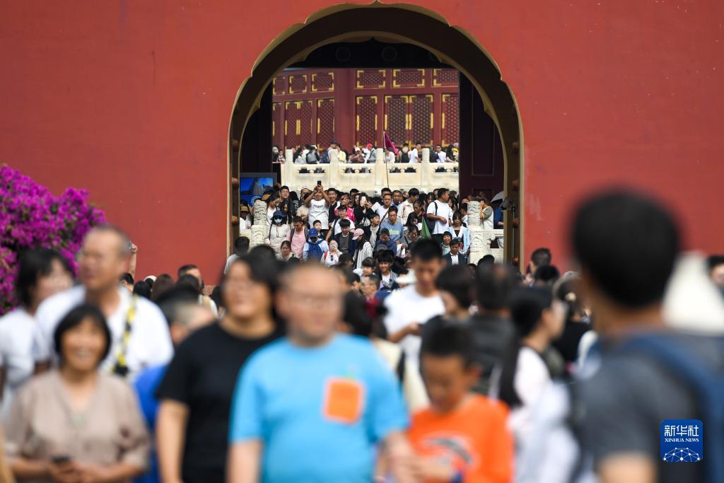 五龙争霸在线下载
